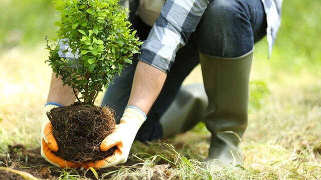 آموزشگاه فنی و حرفه ای بوستان